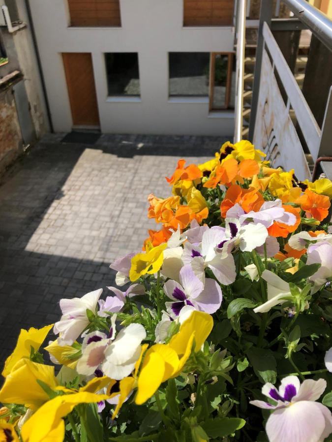 Appartamento Incantevole Con Parcheggio Privato Casteldidone Dış mekan fotoğraf